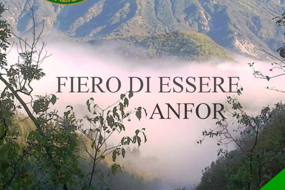 46593607 ae0b 4128 8de6 978ffc82045f