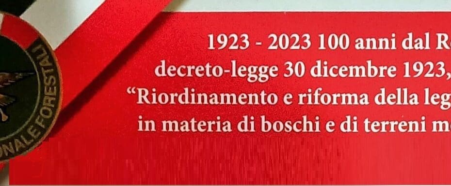 decreto