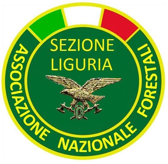 logo orig1